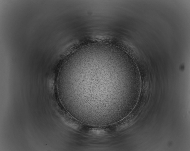 X0000093460749200710191123