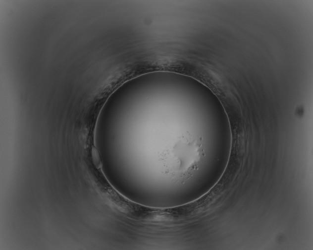 X0000093460750200710191123