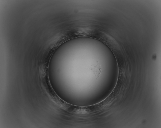 X0000093460751200710191123