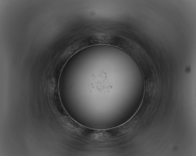 X0000093460752200710191123