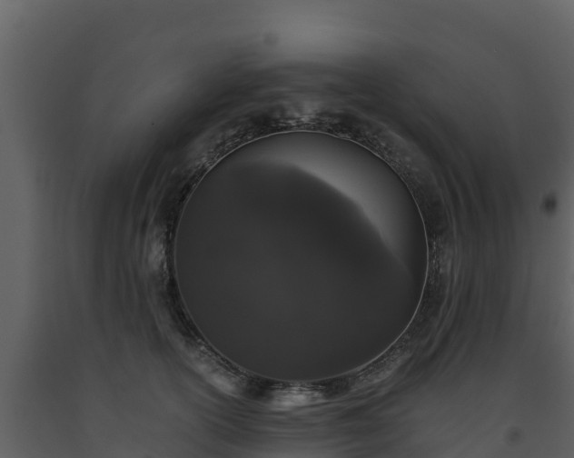 X0000093460754200710191123