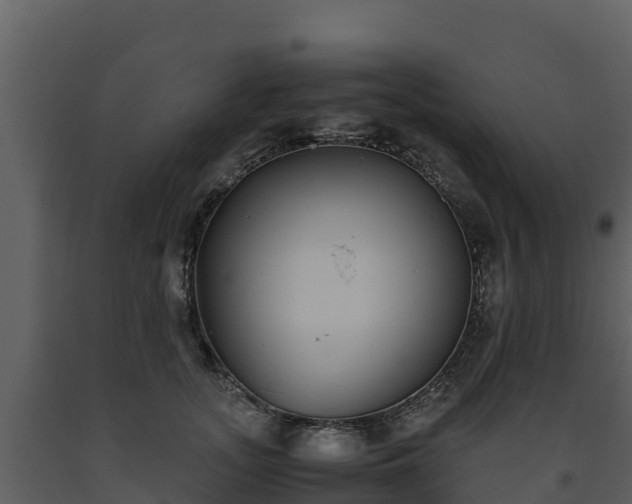 X0000093460755200710191123