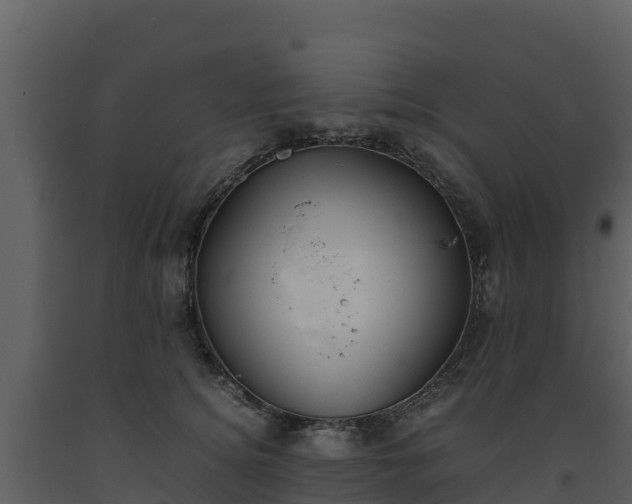 X0000093460756200710191123