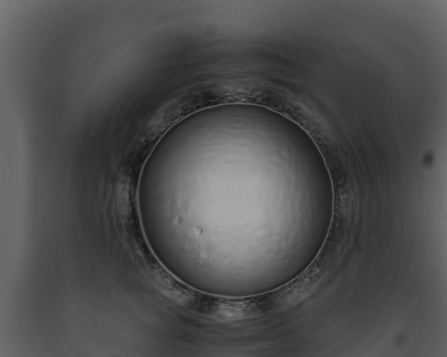 X0000093460757200710191123