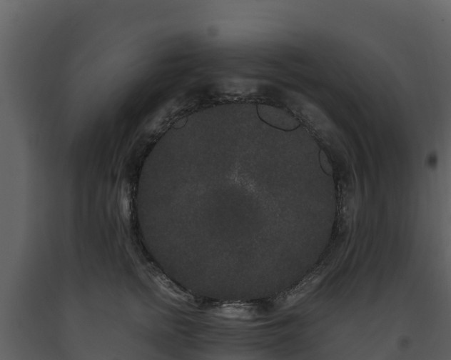 X0000093460758200710191123