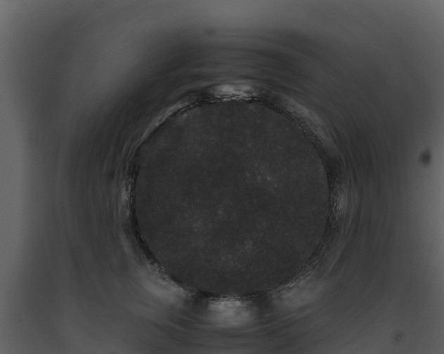 X0000093460759200710191123