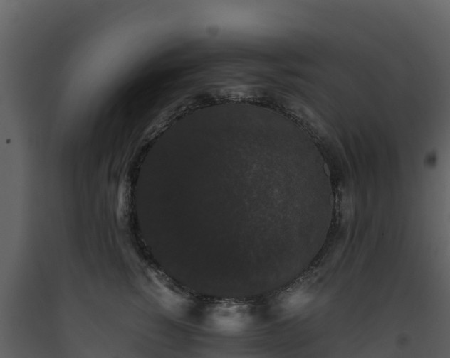 X0000093460760200710191123