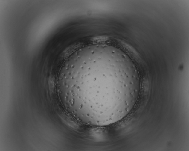 X0000093460761200710191123