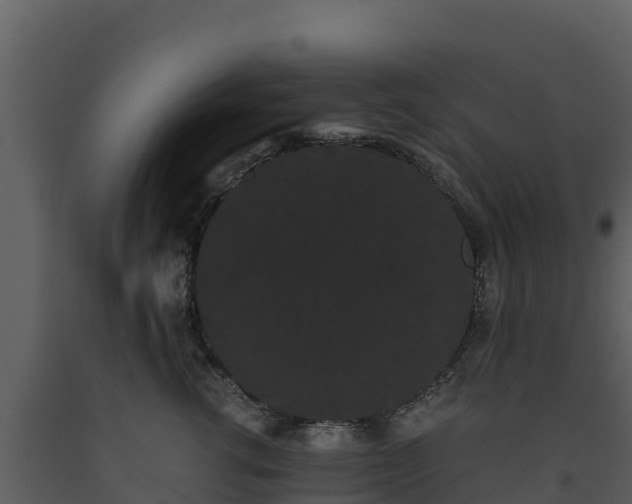 X0000093460762200710191123