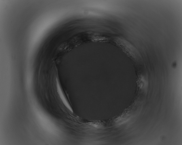 X0000093460763200710191123