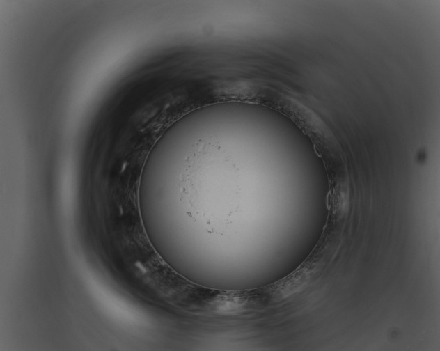 X0000093460764200710191123