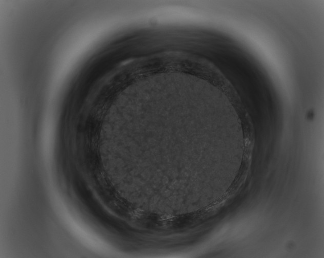 X0000093460765200710191124