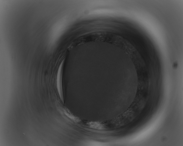 X0000093460766200710191124