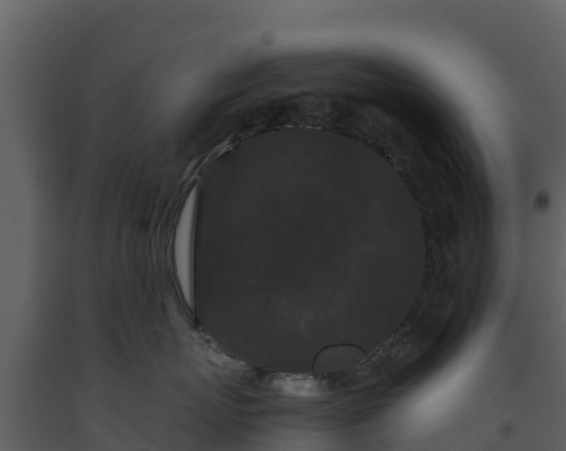 X0000093460767200710191124