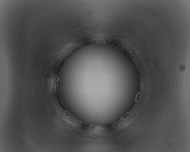 X0000093460768200710191124