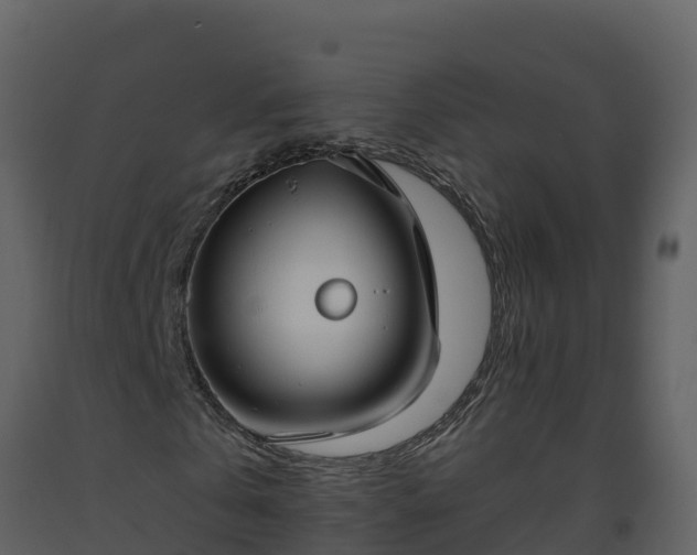 X0000093460769200710191123