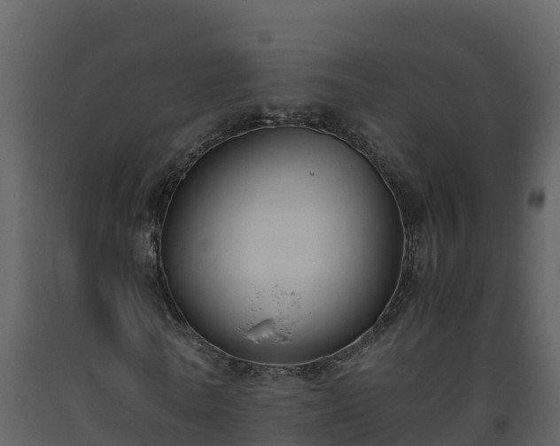 X0000093460770200710191123