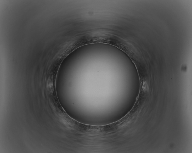 X0000093460771200710191123