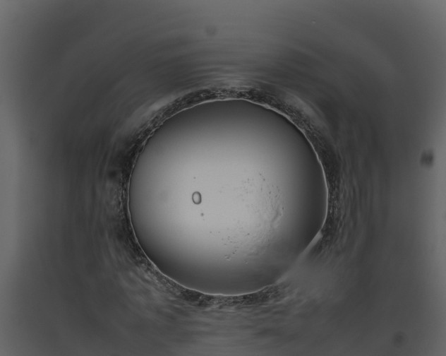 X0000093460773200710191123