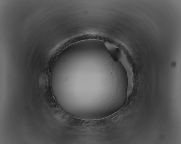 X0000093460776200710191123