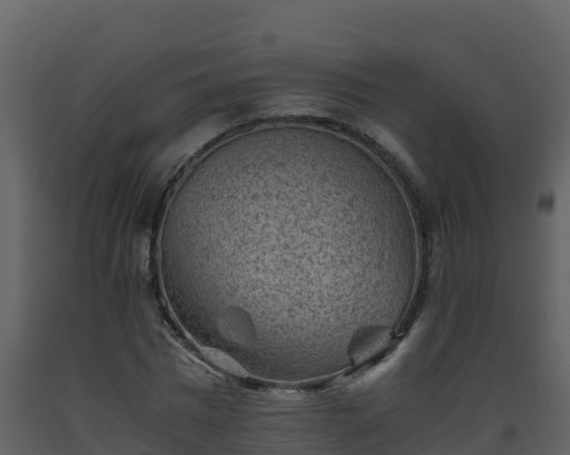 X0000093460777200710191123