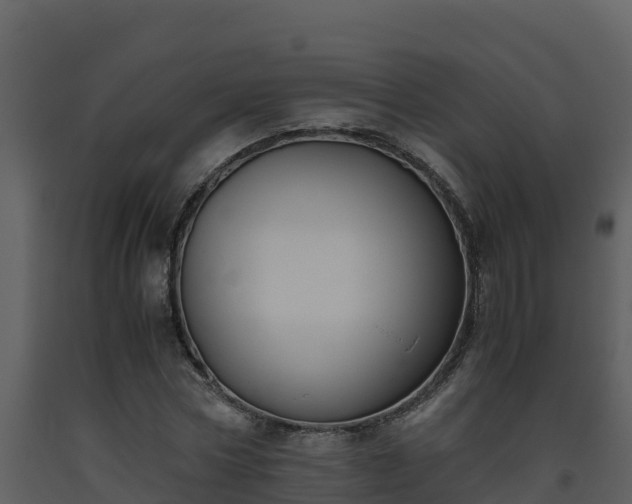 X0000093460778200710191123