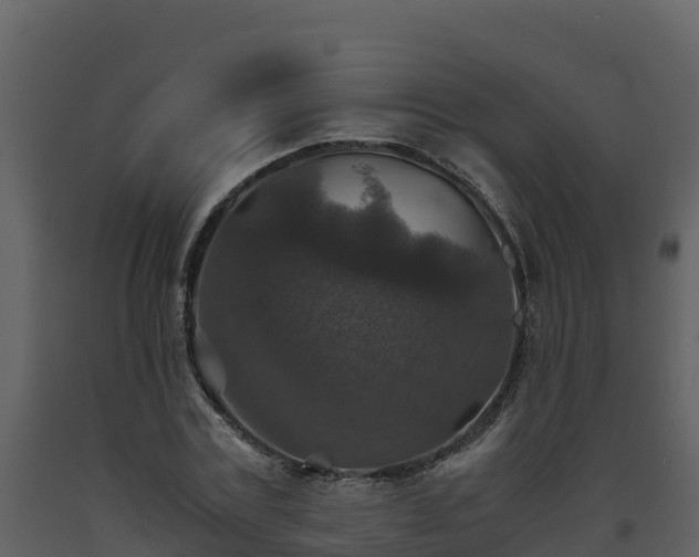 X0000093460779200710191123