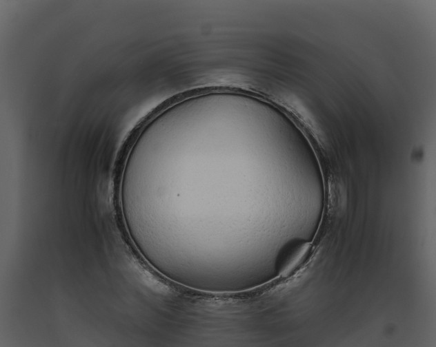 X0000093460780200710191123