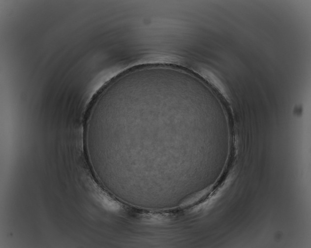 X0000093460781200710191123