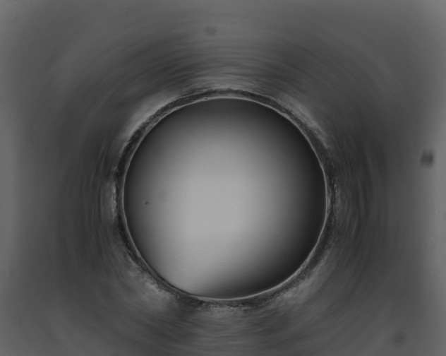 X0000093460782200710191123