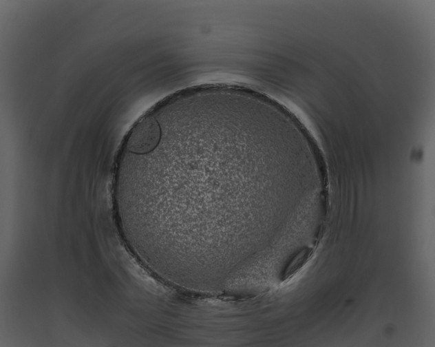 X0000093460783200710191123