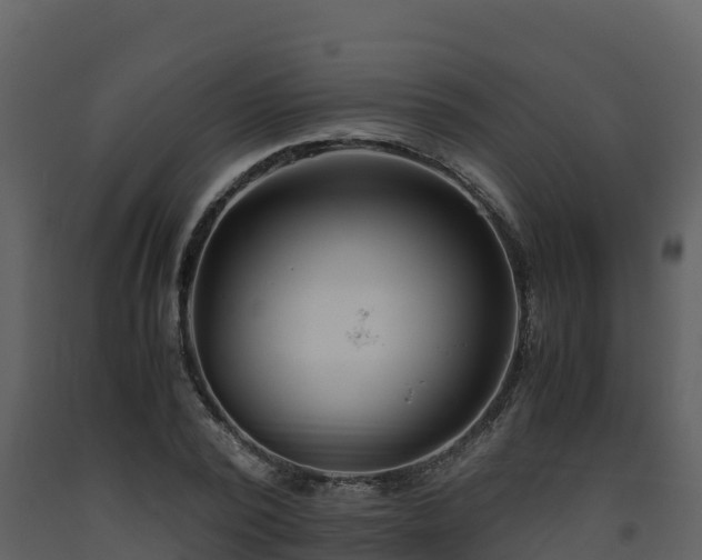 X0000093460784200710191123