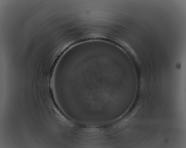 X0000093460785200710191123