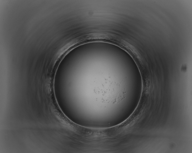 X0000093460786200710191123