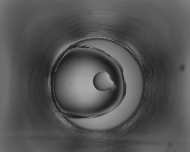 X0000093460788200710191123