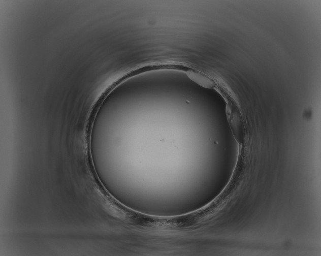 X0000093460789200710191123