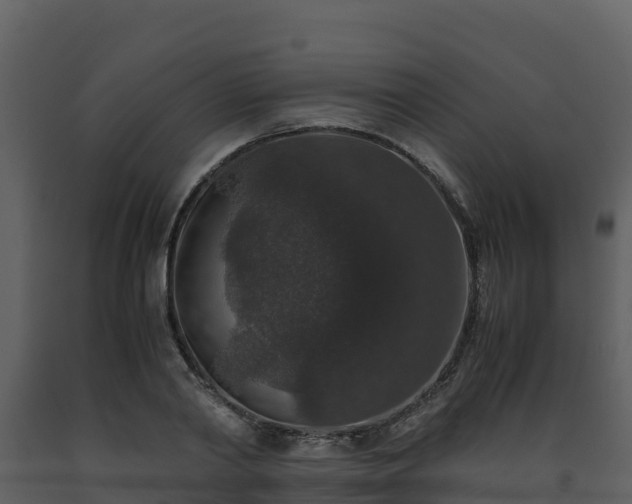 X0000093460790200710191123