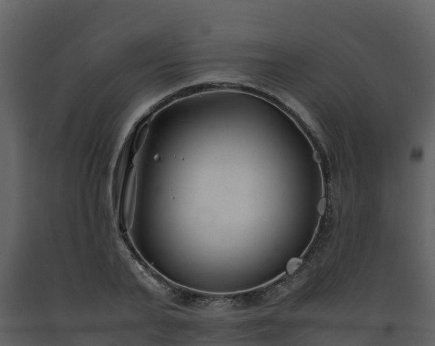 X0000093460791200710191122