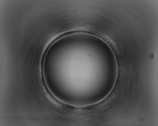 X0000093460792200710191122