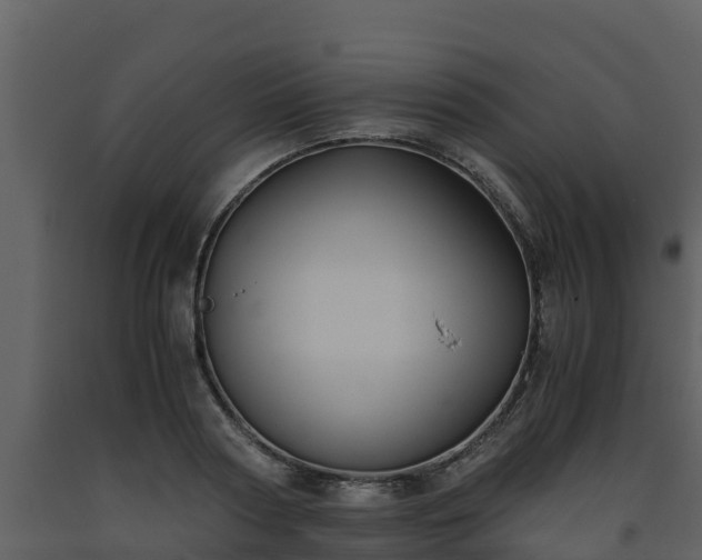 X0000093460794200710191122