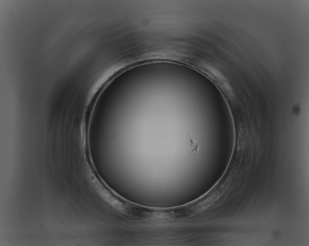 X0000093460796200710191122