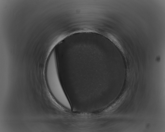 X0000093460797200710191122