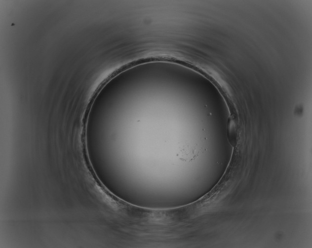 X0000093460799200710191122