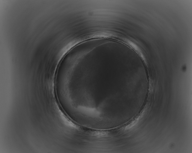 X0000093460802200710191122