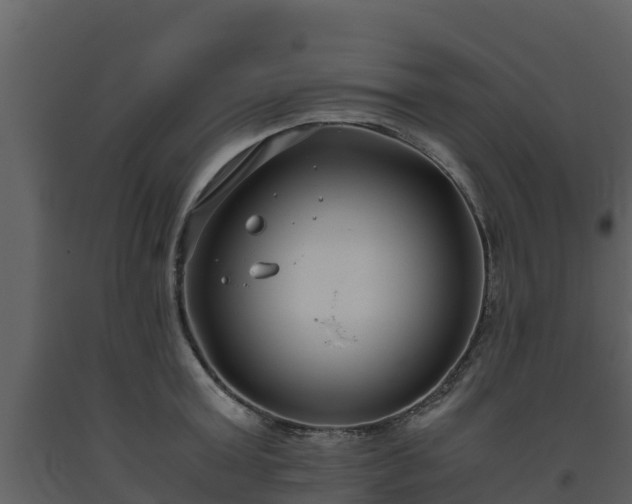 X0000093460803200710191122