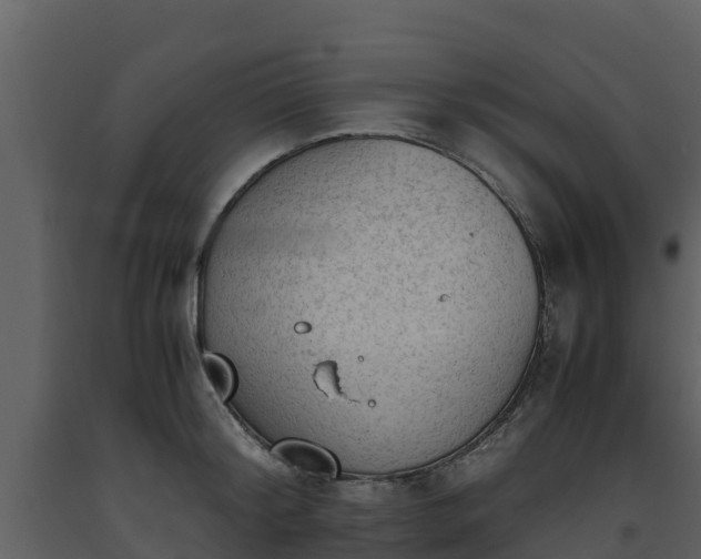 X0000093460804200710191122