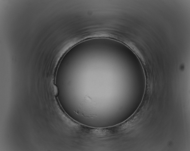 X0000093460805200710191122