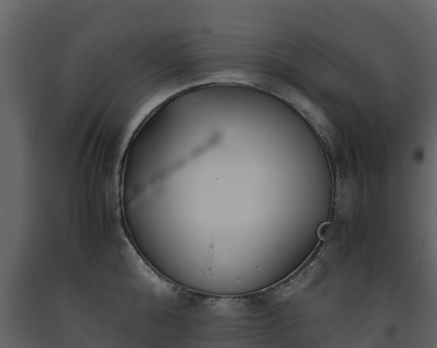 X0000093460808200710191122