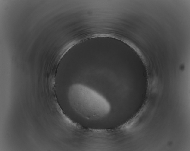 X0000093460809200710191122