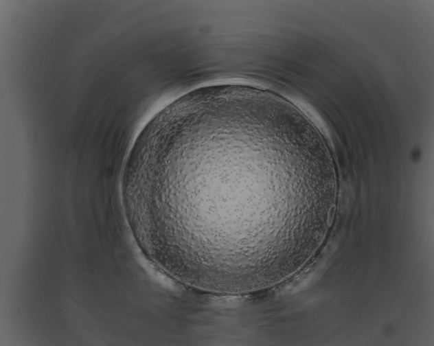 X0000093460813200710191122